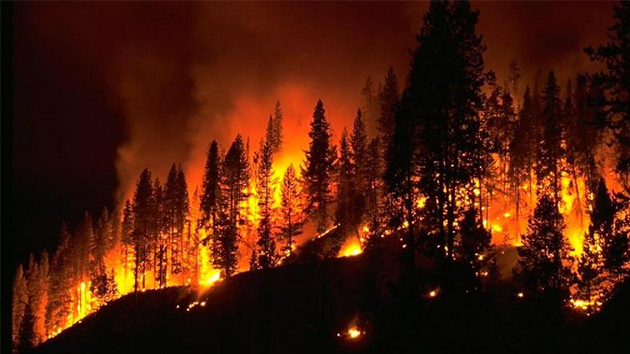 消防知識 丨 5種火災(zāi)不能用水撲救，你知道嗎？